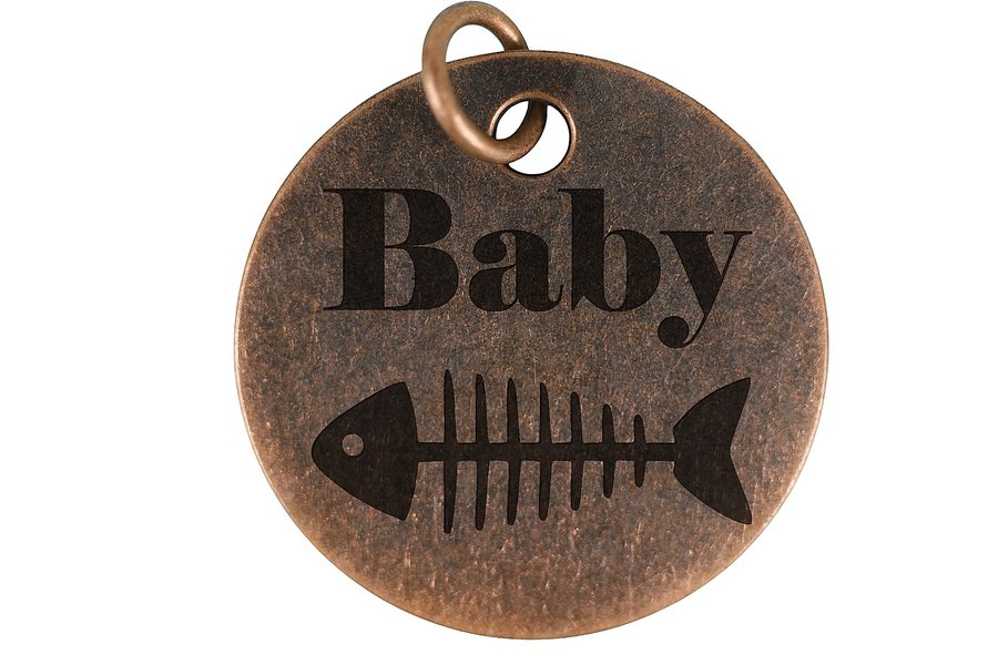 Classic Fish Bone pet tag in antique copper