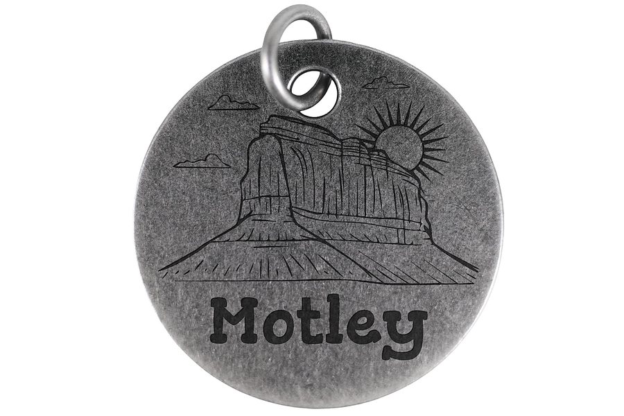Desert Sunrise pet tag in antique silver