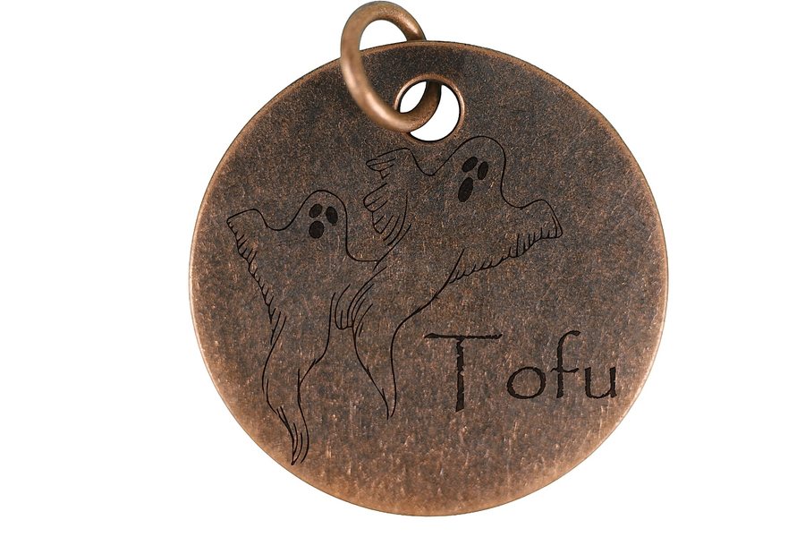 Ghostly Duo pet tag in antique copper