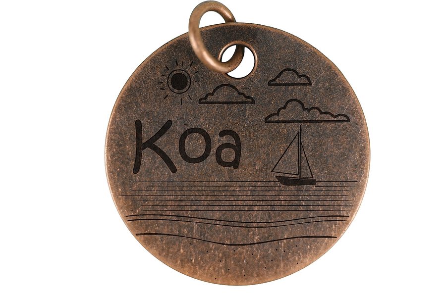 Seaside Escape pet tag in antique copper