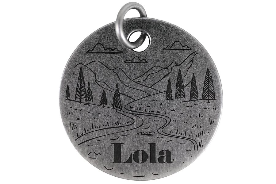 Winding River pet tag in antique silver